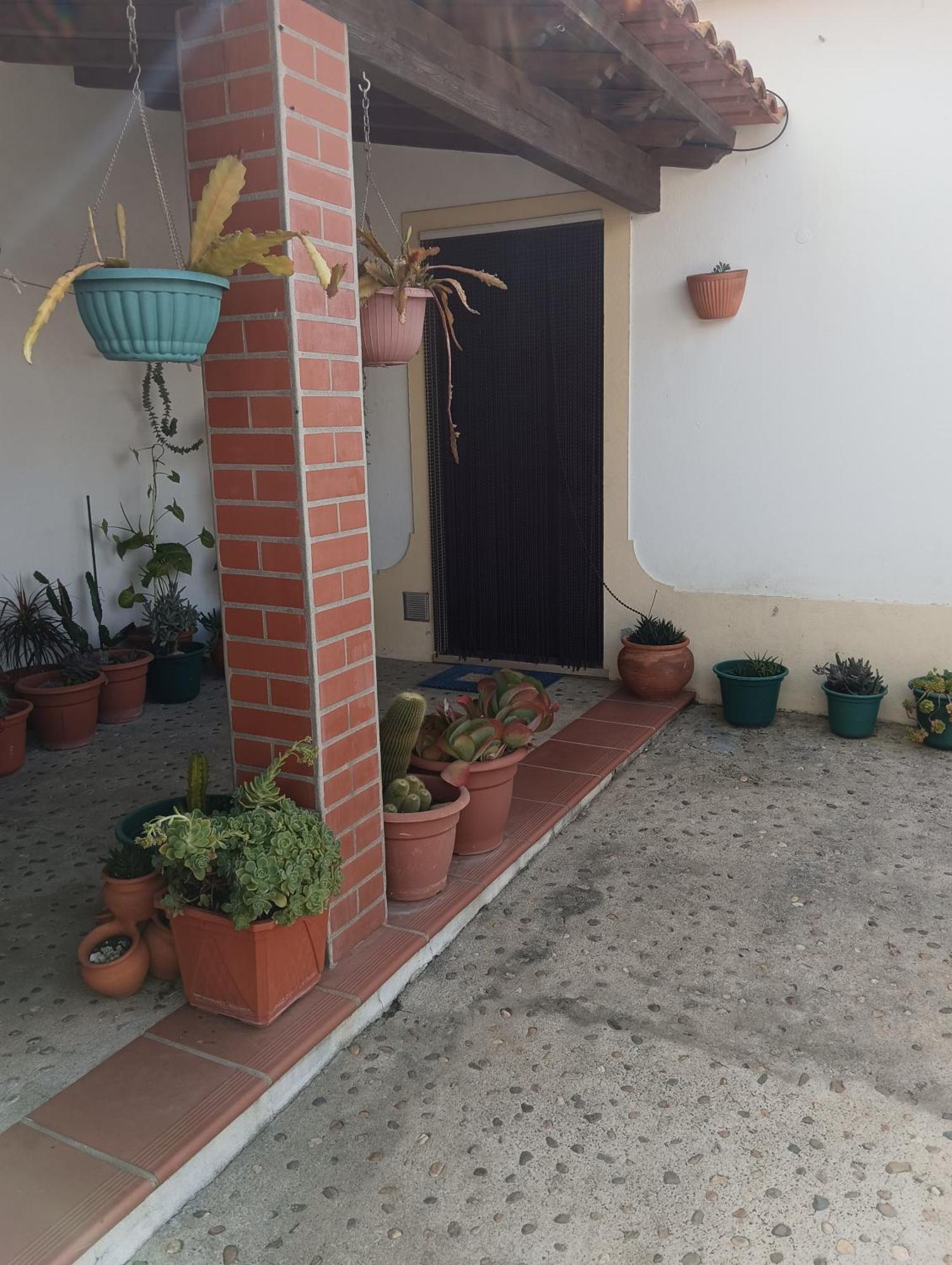 Cantinho Da Susy Golegã Extérieur photo